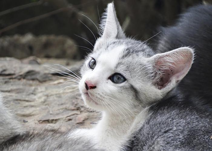 Hand holding black machined steel mechanical pencil with brass tip and top.