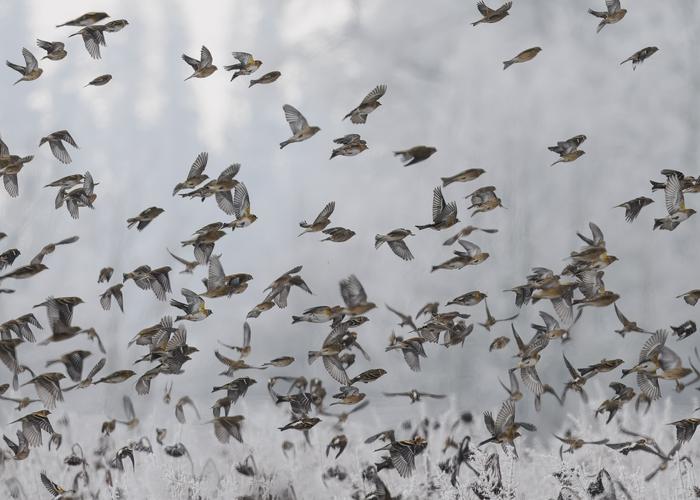 Hand holding black machined steel mechanical pencil with brass tip and top.