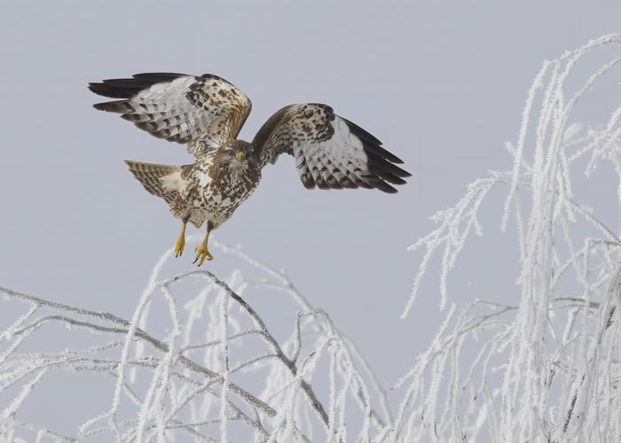Hand holding black machined steel mechanical pencil with brass tip and top.