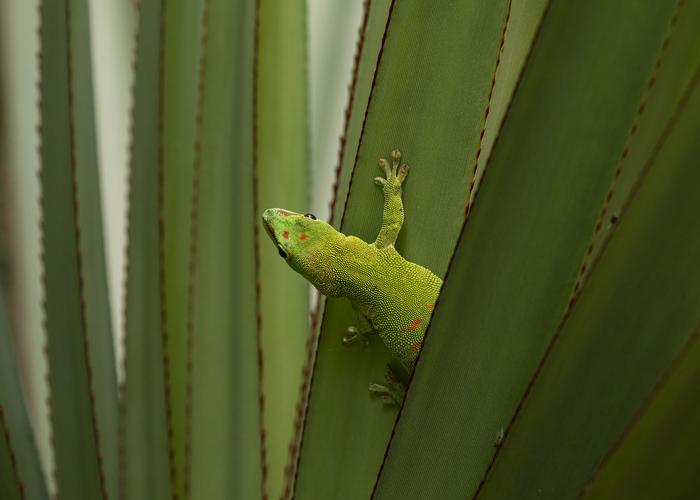 Hand holding black machined steel mechanical pencil with brass tip and top.