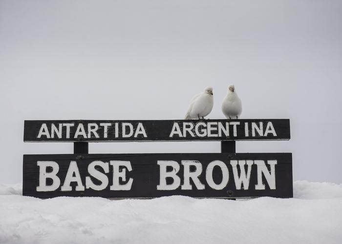 Hand holding black machined steel mechanical pencil with brass tip and top.