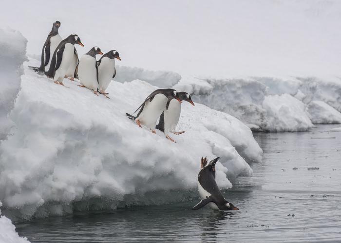Hand holding black machined steel mechanical pencil with brass tip and top.