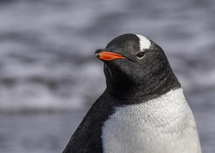 Hand holding black machined steel mechanical pencil with brass tip and top.