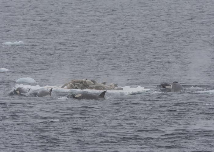 Hand holding black machined steel mechanical pencil with brass tip and top.